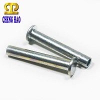 High Quality Special Fastener Double Side Rivet