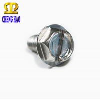 Taiwan OEM Slotted Hex Flange Head Machine Screw