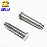 High Quality Special Fastener Tube Rivet