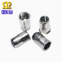 Stainless Steel Hex Semi Tubular Rivet