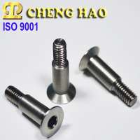 Hex Socket Flat Head Shoulder Screw