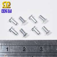 OEM 3C 2.4mm Micro Screws and Rivet